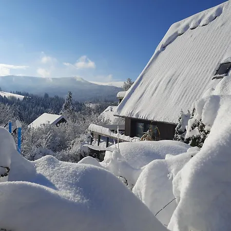 Haus Mit Bergblick בית נופש