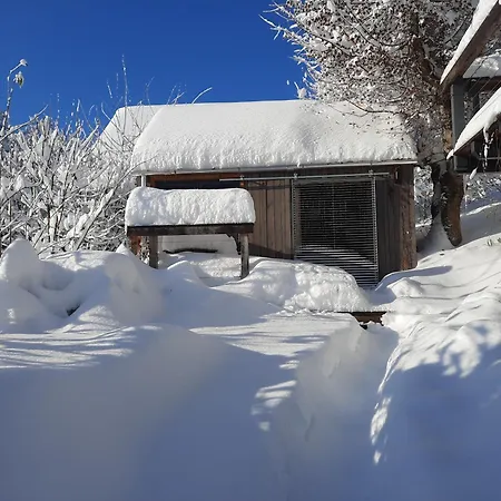 Haus Mit Bergblick *